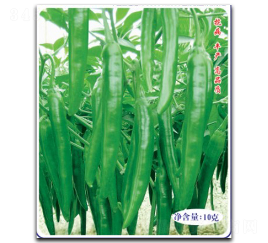 ߮a(chn)̖-N-մr(nng)I(y)