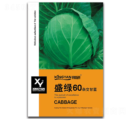 ʢG60-{(ln)N-зNI(y)