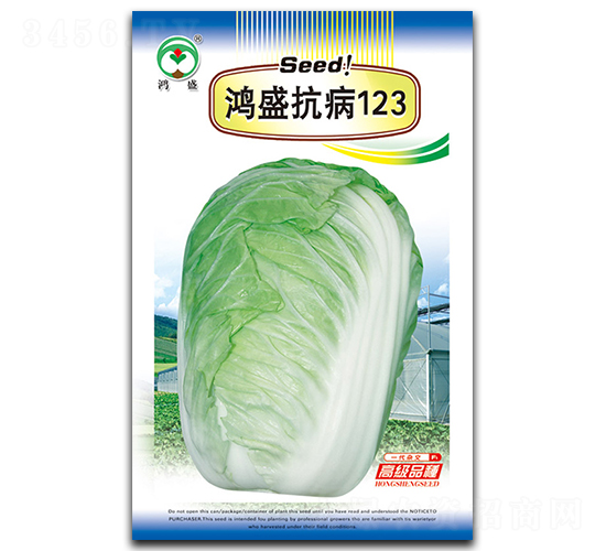 鴻盛抗病123-白菜種子-鴻盛園