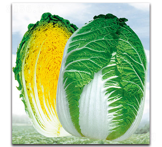 Sоһ̖-ײ˷N-}rI(y)