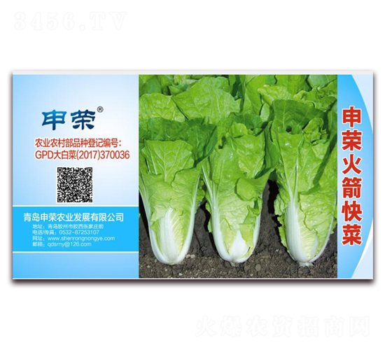 申榮火箭快菜-白菜種子-申榮農(nóng)業(yè)