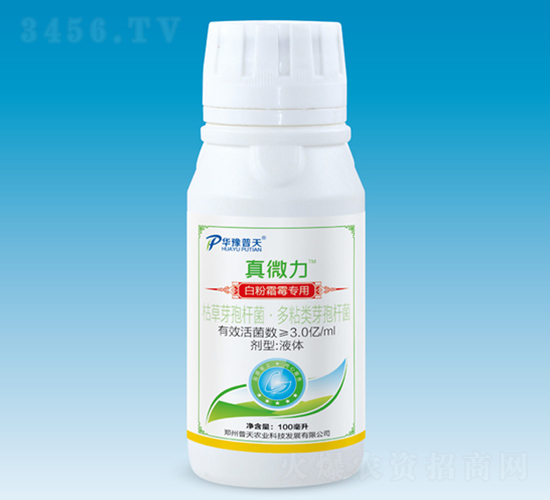 ׷˪ù(zhun)΢-΢-r(nng)I(y)