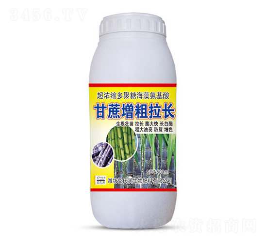 500mlL(zhng)-ʥϝ(rn)