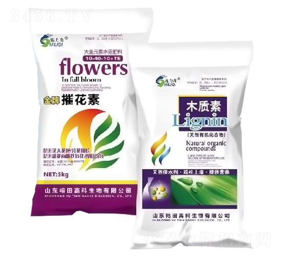 ݻ+ľ|(zh)؛_ʩιˮܷ-ԣ߿