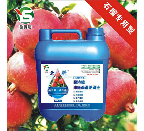 ʯÛ_ʩ-ʩ-Ƹr(nng)I(y)