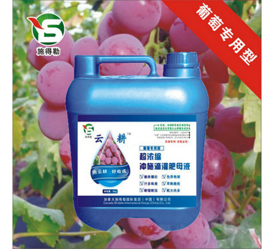 ьÛ_ʩ-ʩ-Ƹr(nng)I(y)