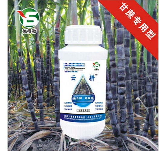 ጣ~-ʩ-Ƹr(nng)I(y)