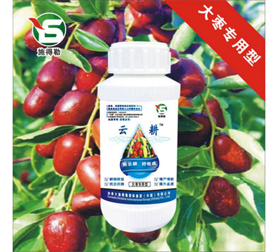 t~-ʩ-Ƹr(nng)I(y)