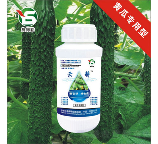 Sό~-ʩ-Ƹr(nng)I(y)