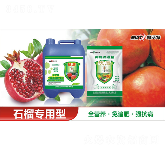 ʯˮԛ_ʩι-ֶr(nng)I(y)