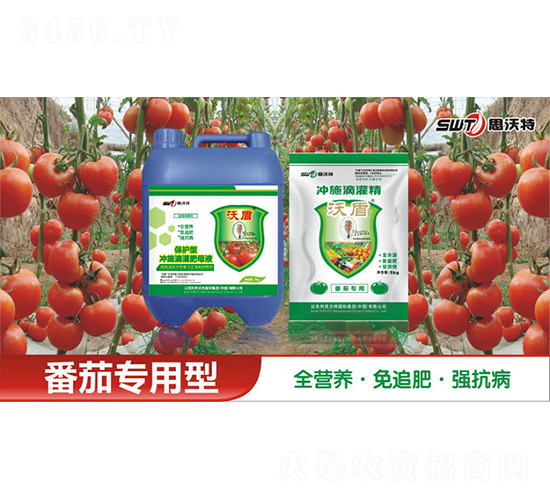 ь(zhun)ˮԛ_ʩι-ֶr(nng)I(y)