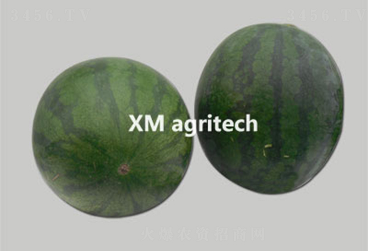 (j)o(w)-ϷN-r(nng)r(nng)I(y)