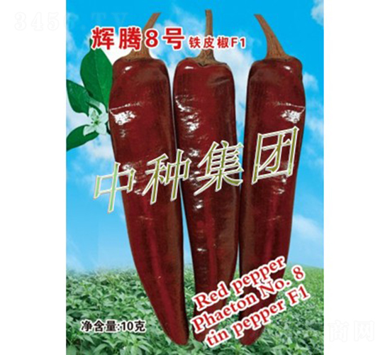 xv8̖(ho)-N-зNF(tun)