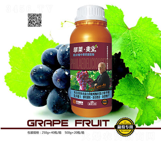 ьósвˎȡ-R-ְʘI(y)