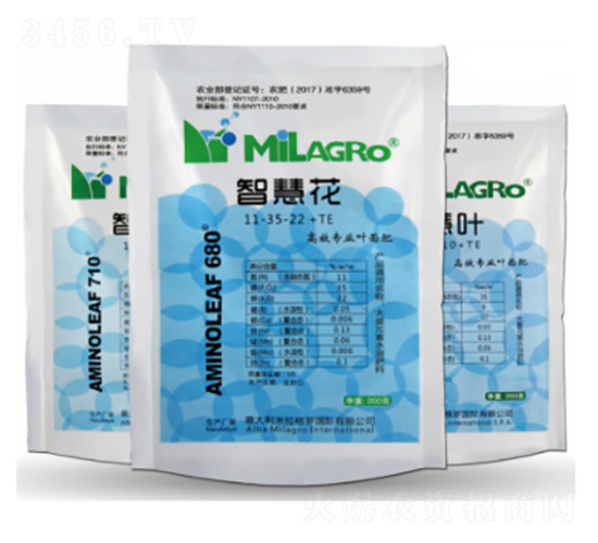 ǻۻ~-܎r(nng)I(y)