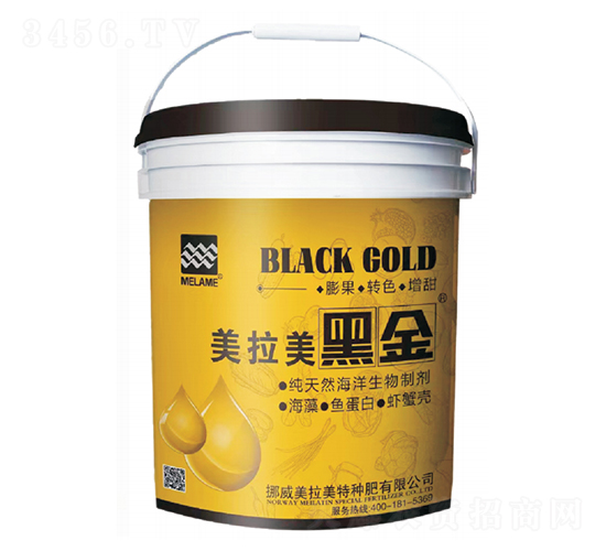 VԴ۹Ȱᡤ~סзt-ڽ-