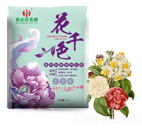 ͨ͸ߠIB(yng)-ǧɫ-؉