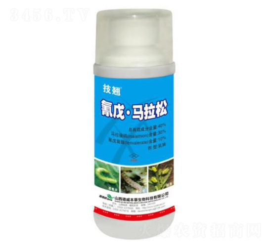 40%���졤�R��������-���N-�x����