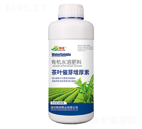 ~ѿЙCˮܷ-n-nʘI(y)