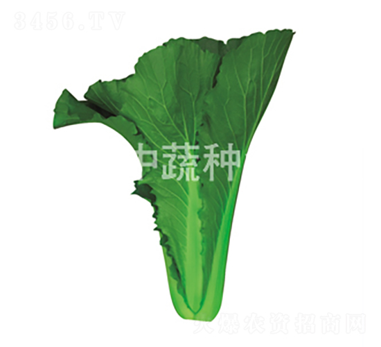 G1̖(ho)-ײ˷N-߷NI(y)