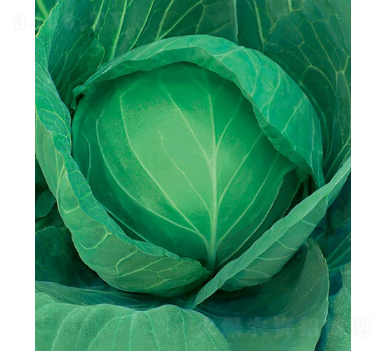 и605-{(ln)N-߷NI(y)