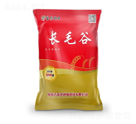 長毛谷-谷子種子-蒙龍種業(yè)