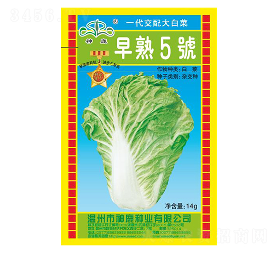 5̖(ho)ײ˷N-¹NI(y)