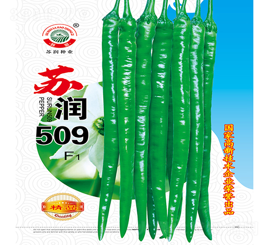 K(rn)509-N-K(rn)NI(y)