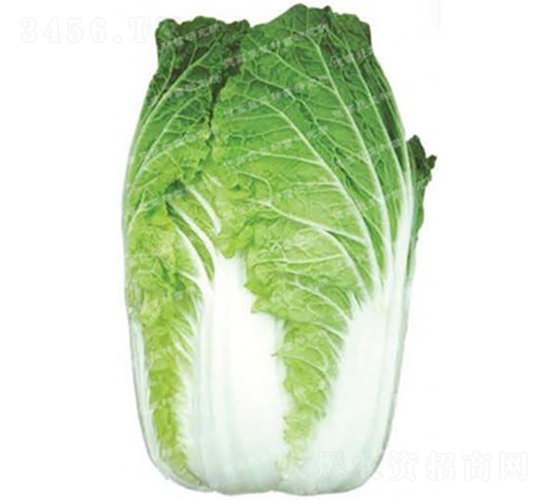 ڏʹײ-F65-ײ˷N-¸߷NI(y)