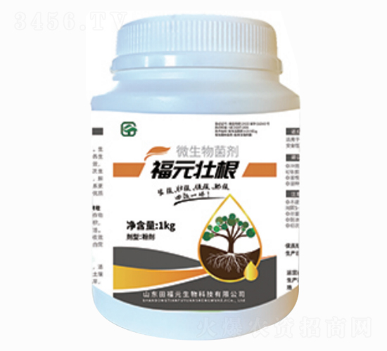 ԪѸ΢-ѸٸʸЧһw-︣Ԫ