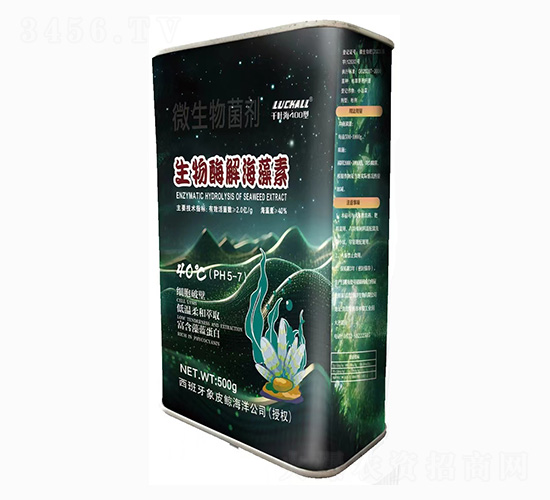 ø⺣-{-ǧ~400-˹r(nng)