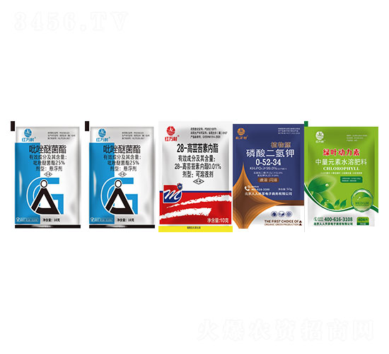 a(chn)ײͽM-tf-l(xing)弾L(fng)-˹r(nng)