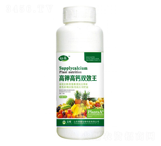 ⛸}pЧ500g--sҫrI(y)