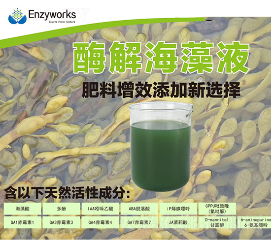 酶解海藻液-中肽生物