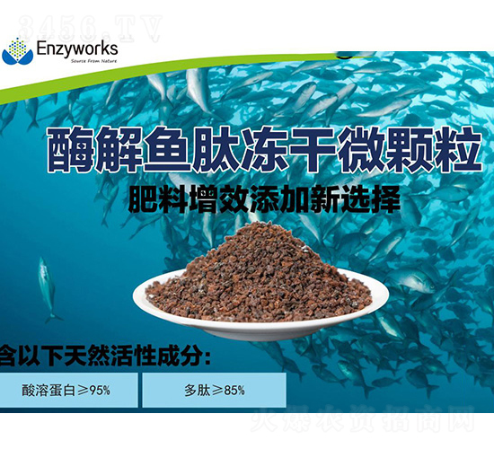 酶解魚(yú)肽凍干微顆粒-中肽生物
