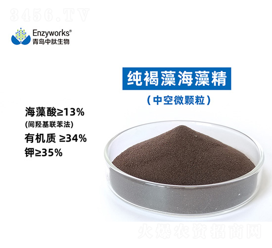 純褐藻海藻精(中空微顆粒)-青島中肽生物