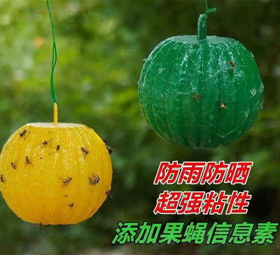 �G�T���Tω��-�������