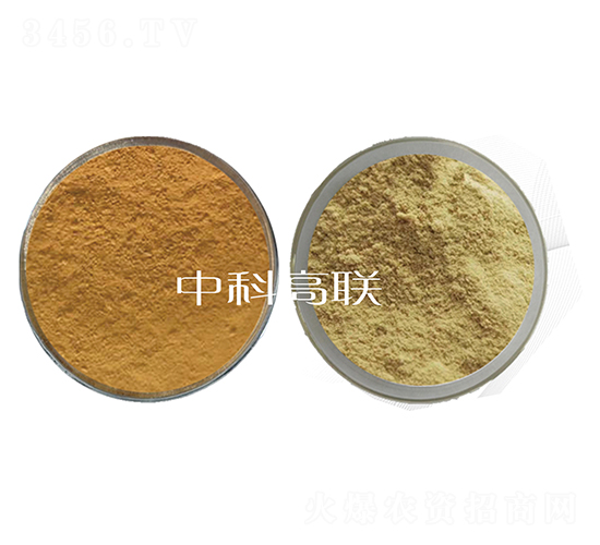 ~ø1̖+2̖ˮø-˹r(nng)