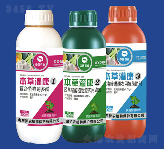 ݹ࿵b-ֲԴ-or(nng)ֲ