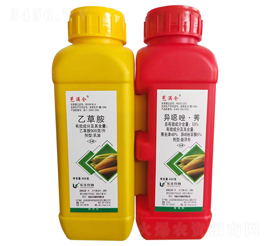 900/Ҳݰ+53%fݬҸ-M}-P