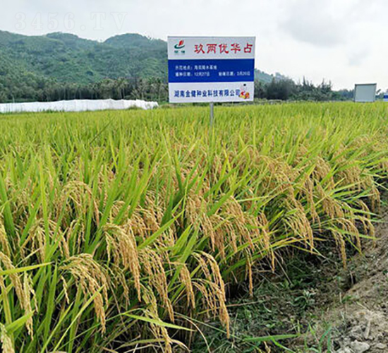 Ƀ(yu)Aռ-ˮN-𽡷NI(y)