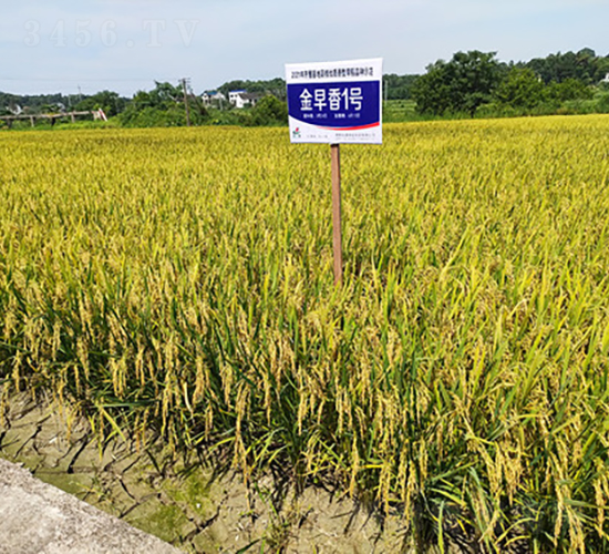 1̖(ho)-ˮN-𽡷NI(y)