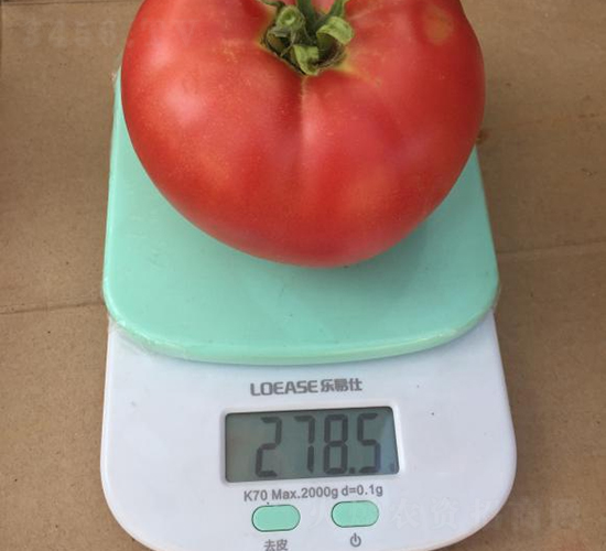 ߿5̖(ho)-ѷN-SNI(y)