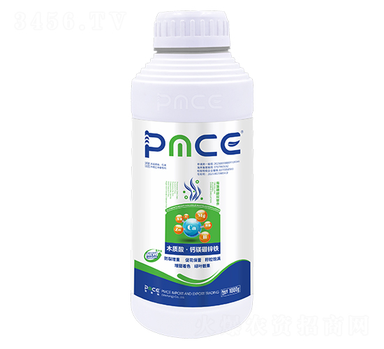 Ǵp-ľ|(zh)ᡤ}V\F-˹