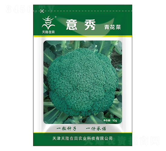 ໨˷N--¡r(nng)I(y)