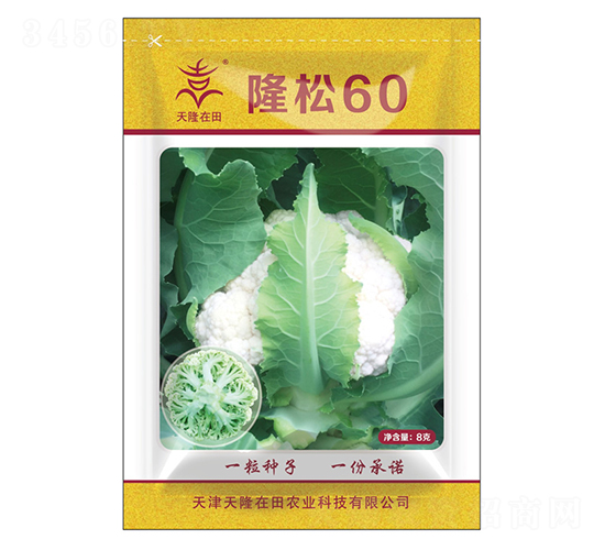 ¡60-¡-¡r(nng)I(y)