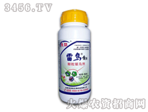 ٴ-B(nio)4̖(ho)-w(q)B(nio)