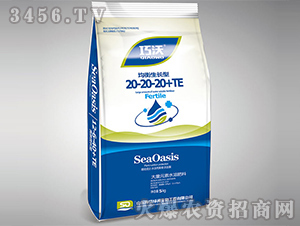 Ԫˮܷ-L(zhng)20-20-20+TE--᷾G