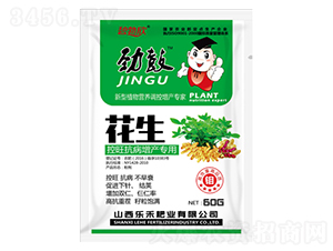 a(chn)(zhun)÷-Ź-(l)̷ʘI(y)