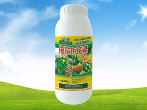 ߻o(h)-ֲ-Sr(nng)r(nng)